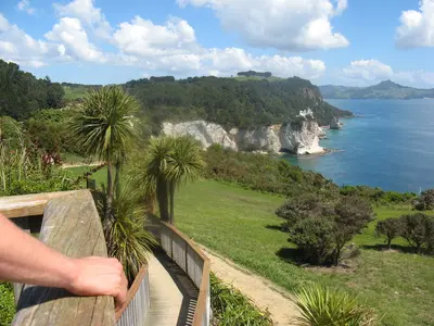 Blick von einem Wanderweg über Wiesen auf die Küste von Cathedral Cove