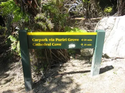 Wegweiser „Carpark via Puriri Grove“ und „Cathedral Cove“ am Wanderweg