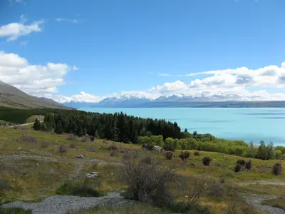 Ufer des Lake Pukaki mit niedrigem Bewuchs