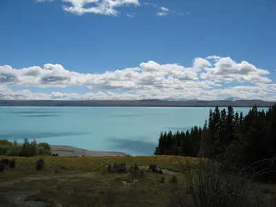 Lake Pukaki mit Nadelbäumen am Ufer