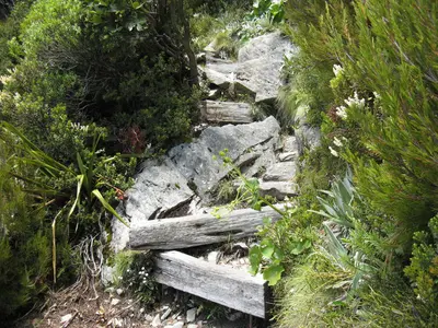 Holzstufen im steinigen Pfad
