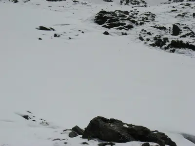 Geschlossene Schneefläche mit einzelnen Felsen