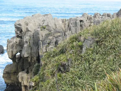 Grasbewachsene Küstenfelsen über dem Meer